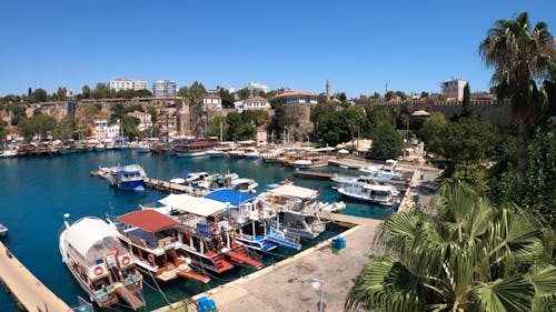 Sailboats Parked on the Dock