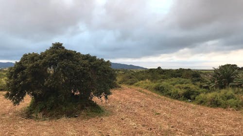 Time Lapse Video of Cloud Movement 