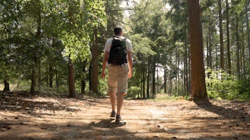 Slow Motion Video of a Hiker Walking away in the Woods