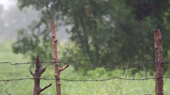 雨景高清视频视频素材