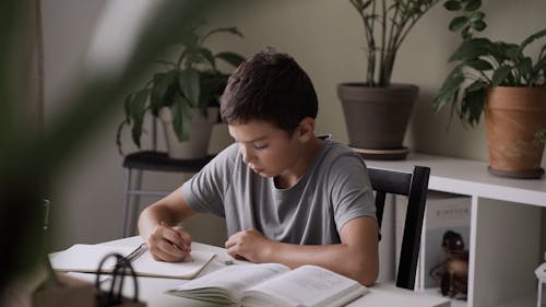 Boy Self-studying at His Home