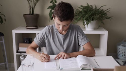 Boy Self-studying at His Home