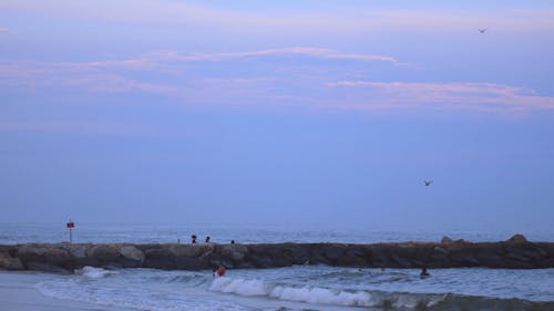 People Swimming on Beach Shore During Sunset