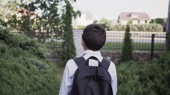 小孩上学高清视频高清视频视频素材