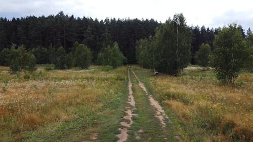 An Off Road Leading To The Forest