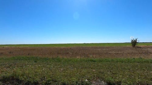 Footage of a Farmland