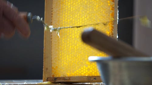 Scraping The Honey Off The Wooden Tray