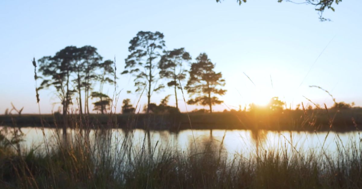 Sun Rays In Camera Ray Of Sun In The Lens Of The Camera Free Stock Video Footage, Royalty ...