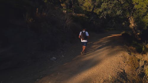 A Man Walking On The Forest Trail