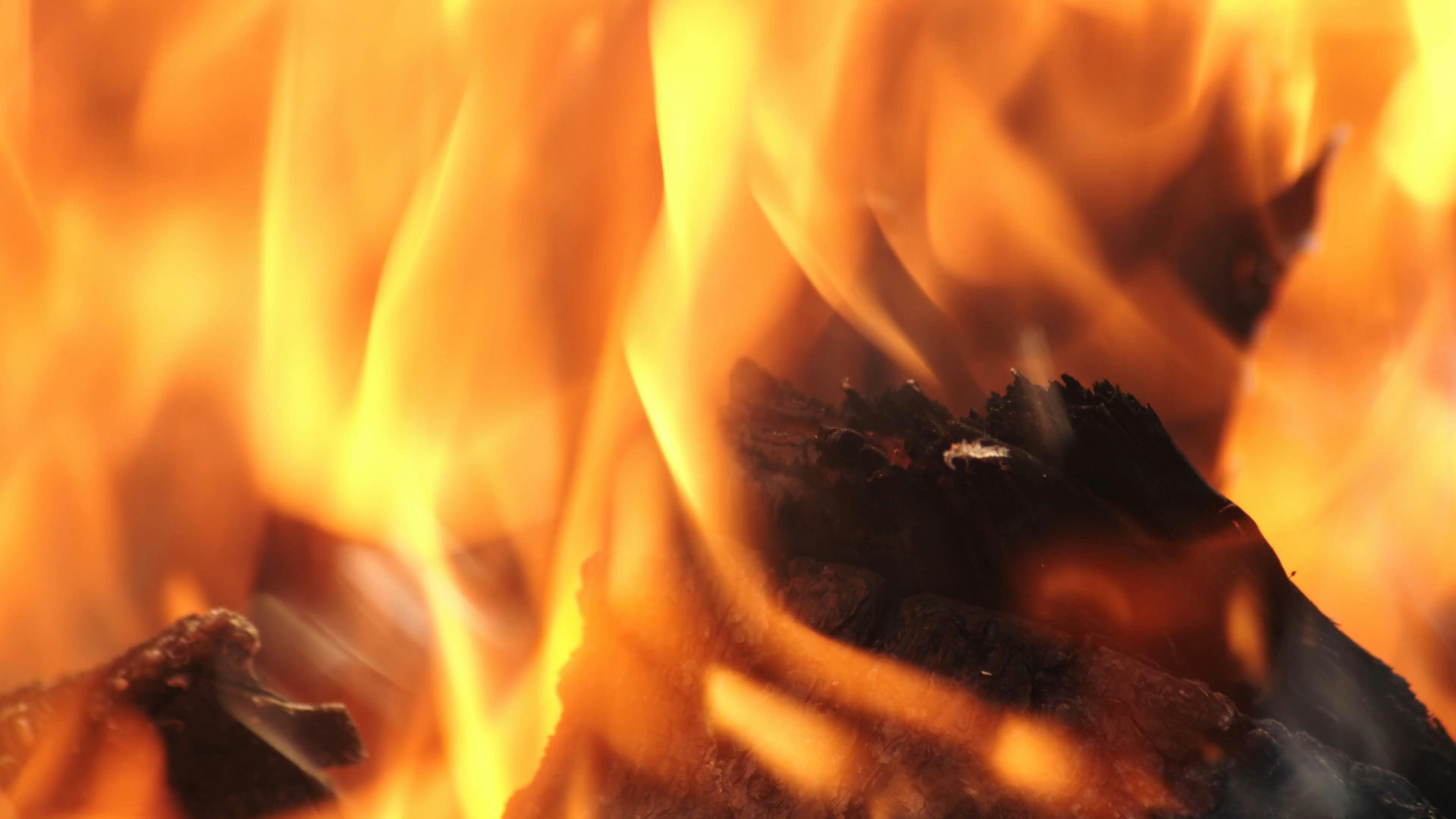 The Flame Of A Burning Firewood · Free Stock Video