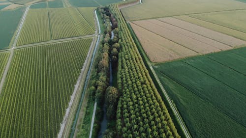 Aerial Footage Of An Aricultural land