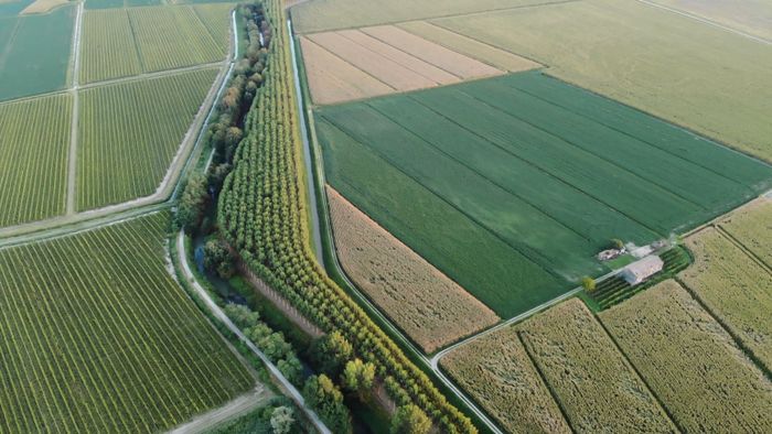Aerial of farmland
