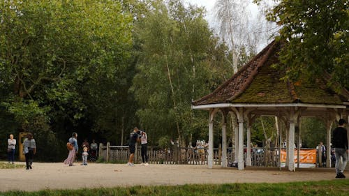 People Having Fun in the Park