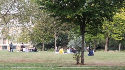 People Relaxing at the Park