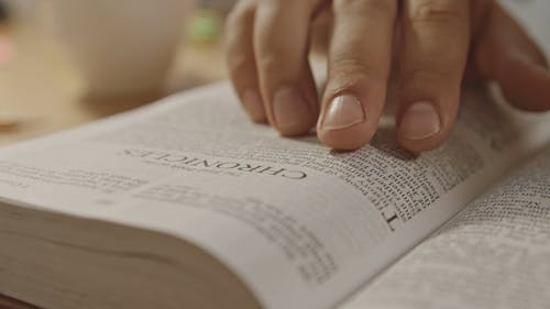 Video Clip of a Person Reading Holy Bible