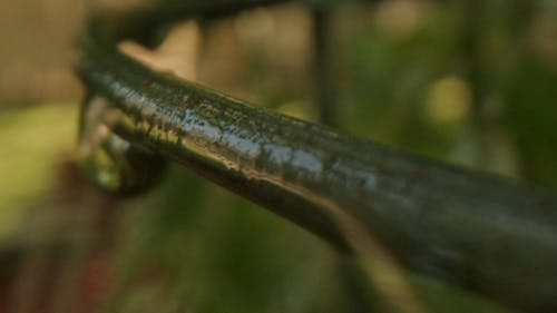 Water Trail Forming On A Wet Metal Railing