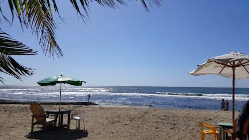 Scenery of a Beach During Daytime