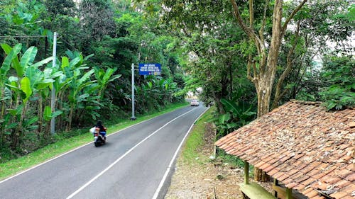 Motorcycles Driving on Roadway