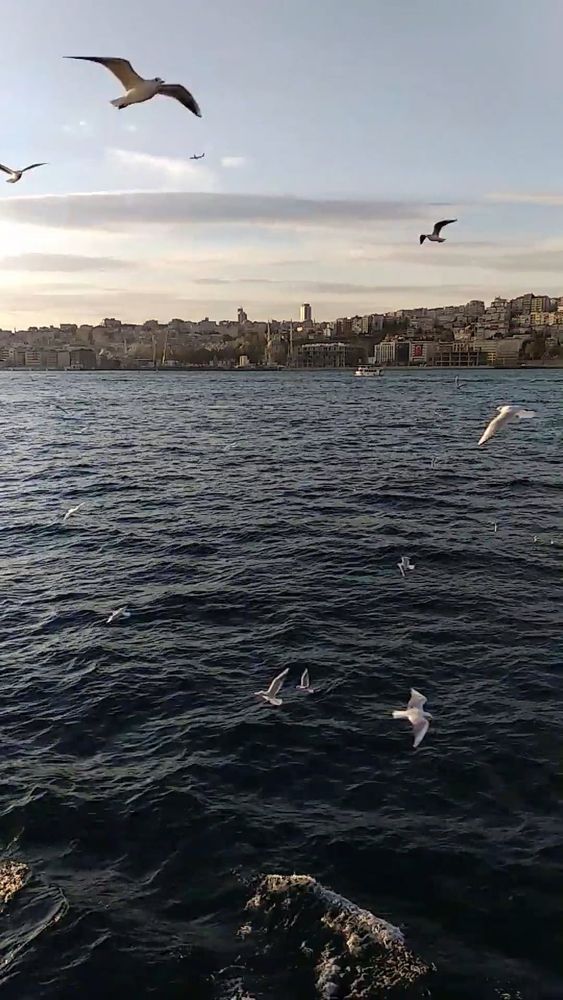 Safa Can Purdaş - Photography