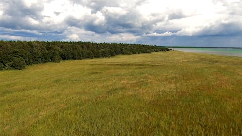 Aerial View Of The Wilderness