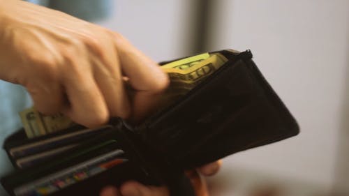 A Person Counting Money