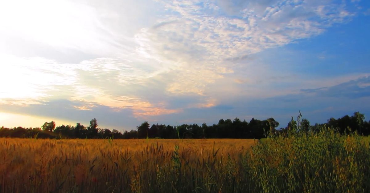 Youtube Header Countryside A Video of a Countryside Free Stock Video Footage, Royalty-Free 4K & HD ...