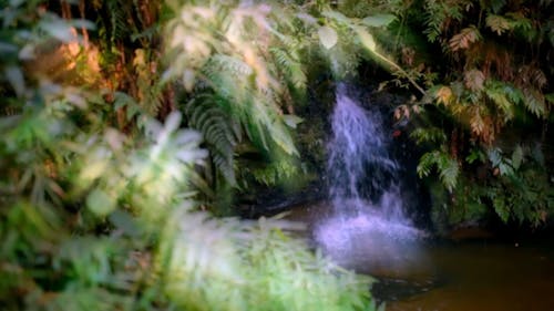 Video Clip of a Natural Stream of Water