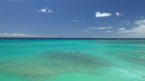 Surfers Swimming on the Ocean