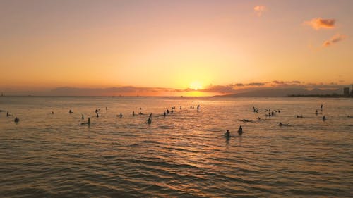 Surfers in the Ocean During Sunset