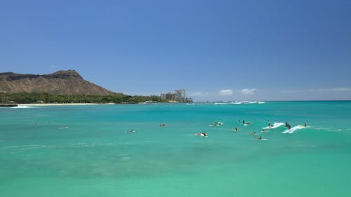 People Surfing on the Beach