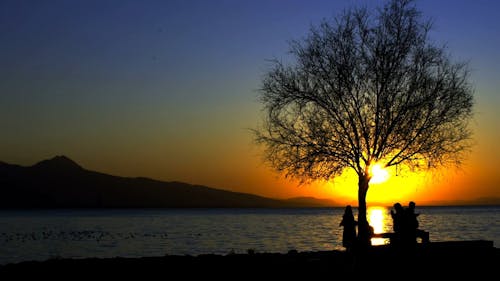 People Enjoying Beautiful Sunset at the Lakeside