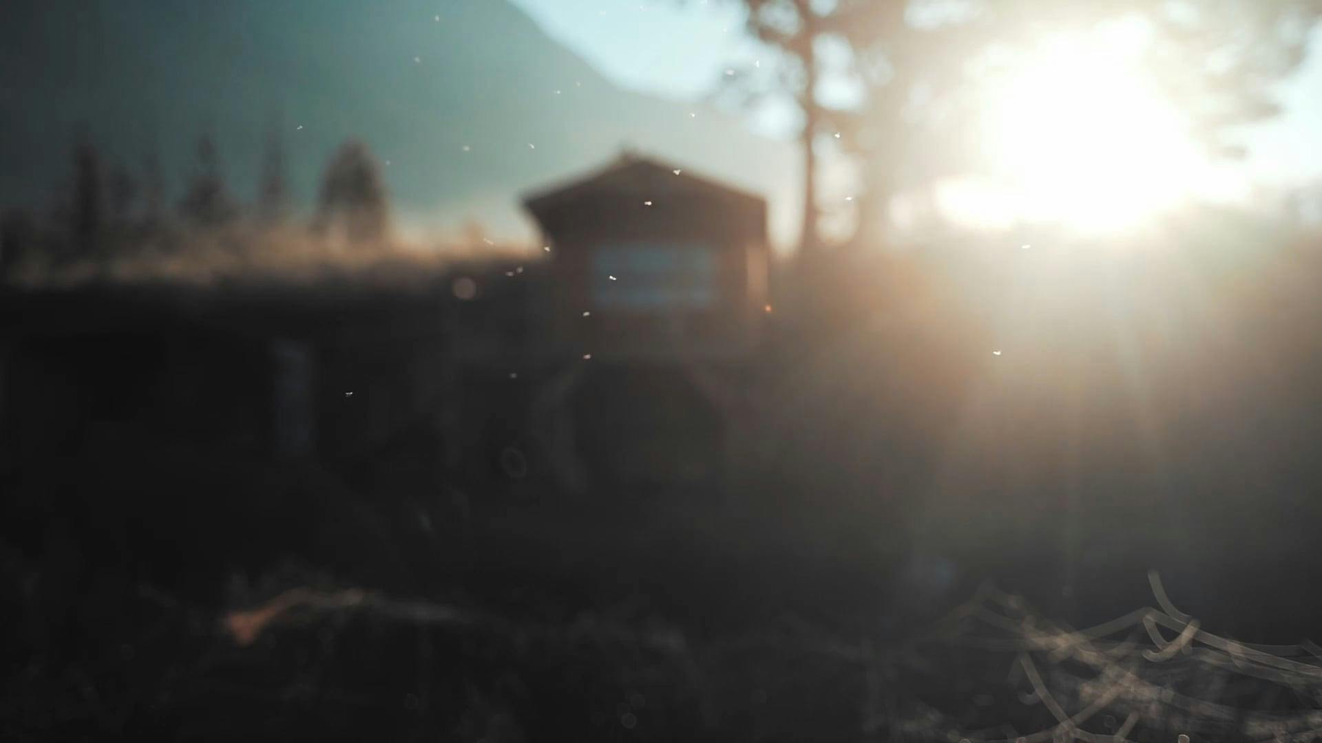 Video by Taryn Elliott