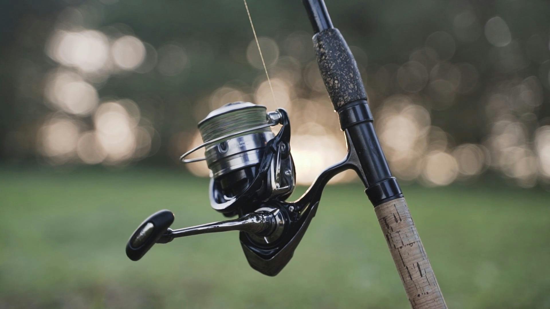 Insects to Tie at Fishing Rod · Free Stock Video