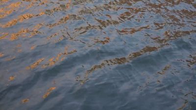 Close Up Shot of Flowing Water Free Stock Video Footage, Royalty-Free ...