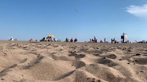 Low Angle Shot of  Sandy Beach