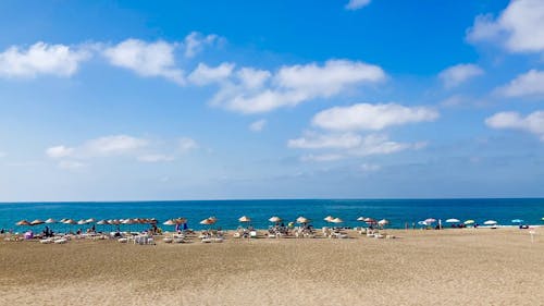 People Relaxing on the Beach