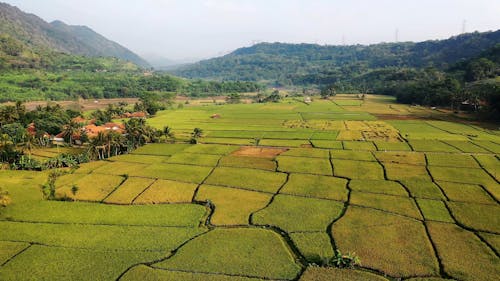 Drone Footage of a Farmland