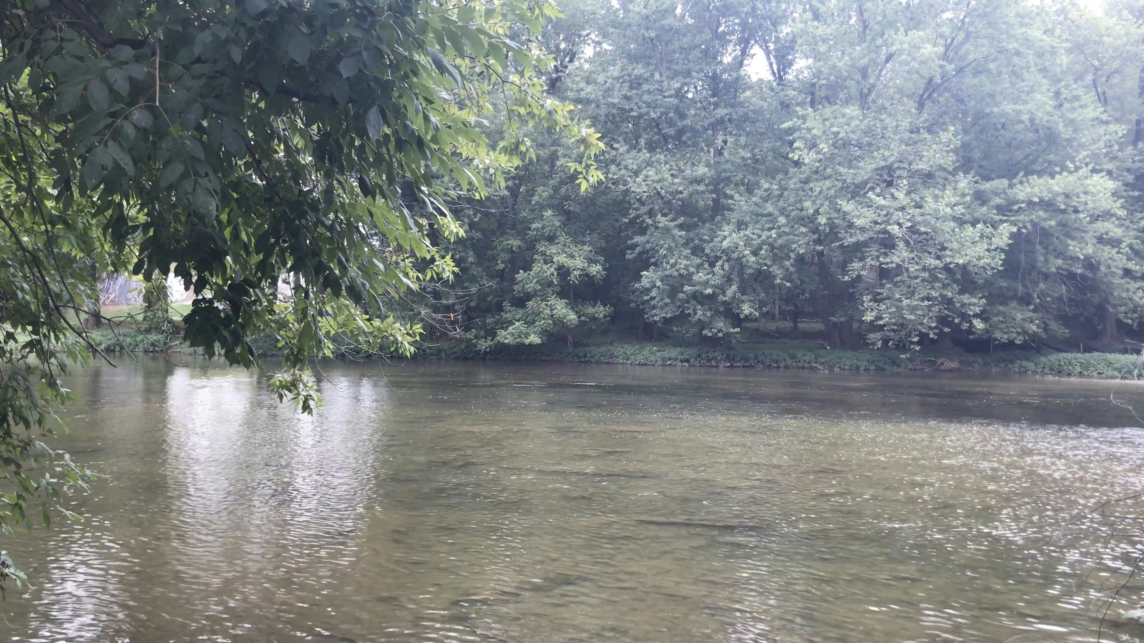 Video by LAKHWINDER  SINGH GAMBHIR