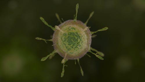 An Illustration of a Virus