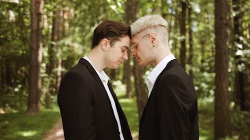 4,000+ Best Gay Wedding Videos · 100% Free Download · Pexels Stock Videos