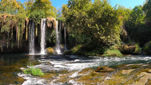 Waterfalls in a Forest