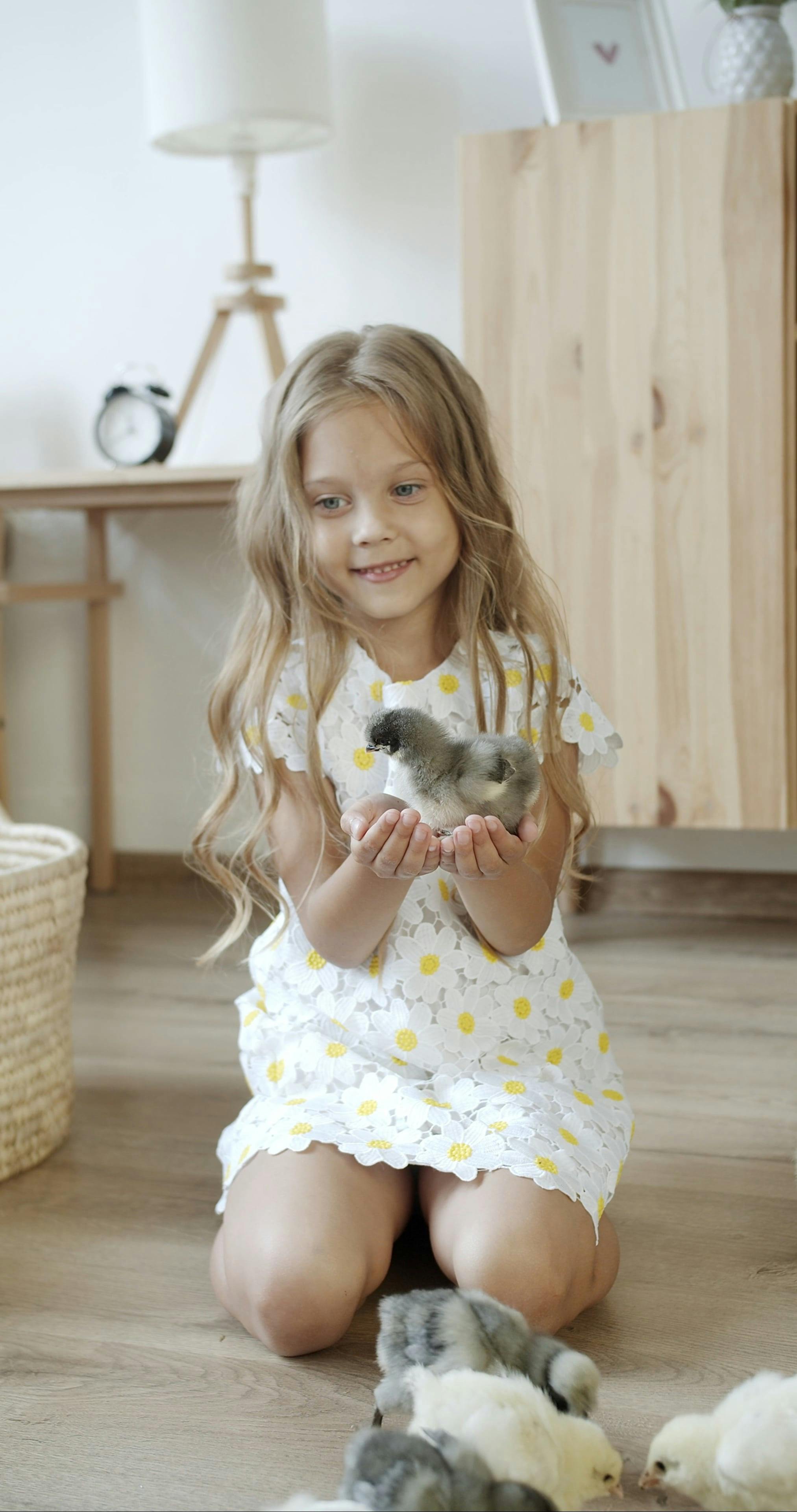 136 115+ Vidéos De Femmes poilues Libre de Droit, Clips Vidéo de Femmes poilues en 4K et HD