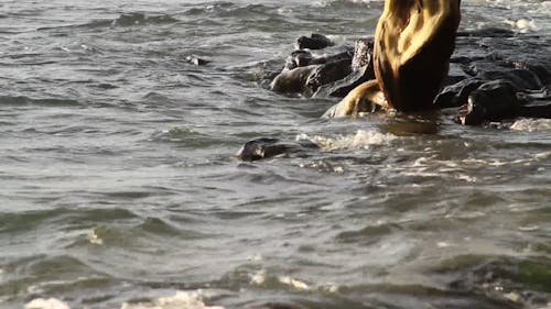 Close Up View of a Sea Water