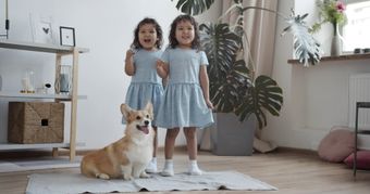 搞笑视频免费下载视频素材