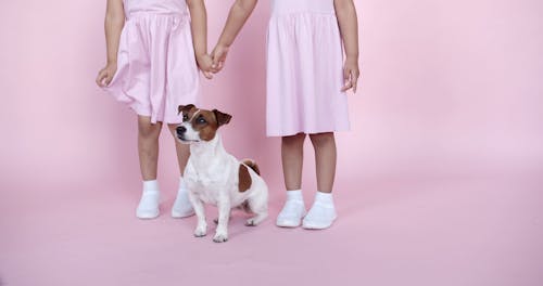 A Cute Dog with Two Kids