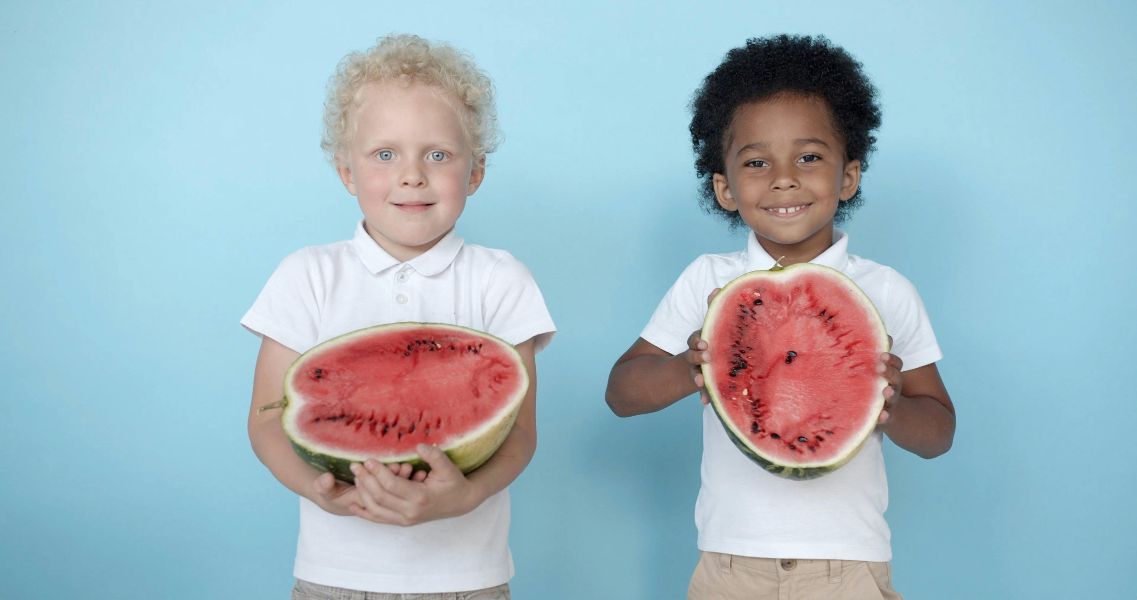 Two Boys Posing with Watermelons in Hand · Free Stock Video