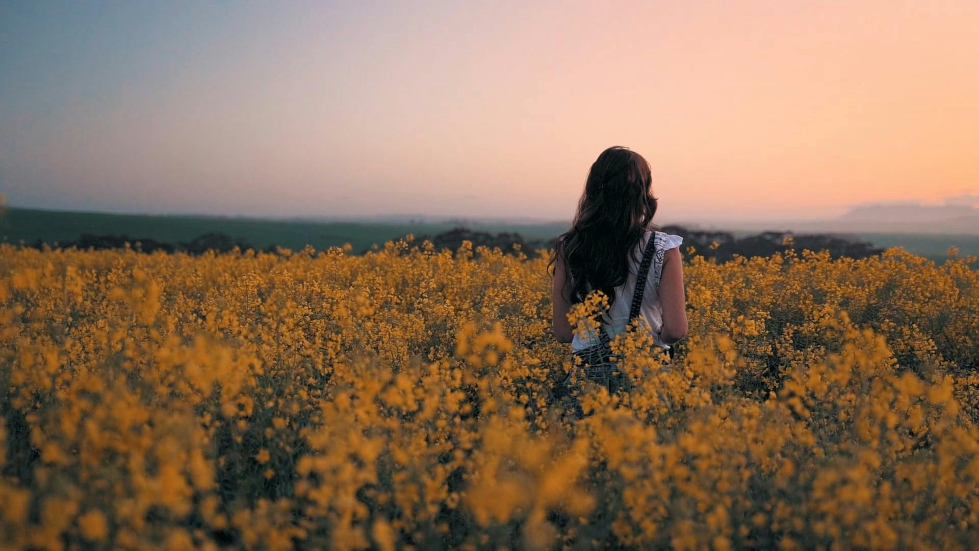 Woman Taking Pictures In The Middle Of A Flower Field · Free Stock Video