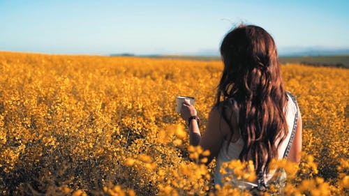 Woman Drinking Coffee in a Yellow Flowering Fields