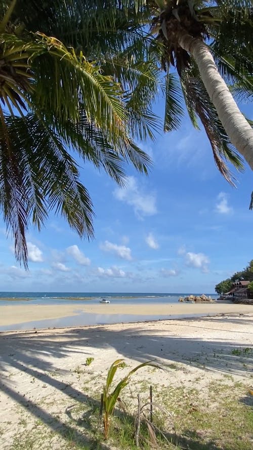 View at the Beach Front