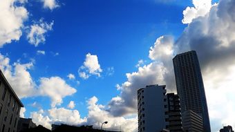 高清实拍视频素材高清视频视频素材视频素材